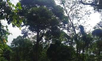 Imagem 6: Lote/Terreno para venda possui 930m² com vista total para o mar no bairro Feiticeira - Ilh