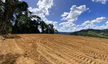 Imagem 3: Lindo Sítio escriturado e Regpara venda tem 30000m2quadPedra Branca, à 14km do Domingos Ma