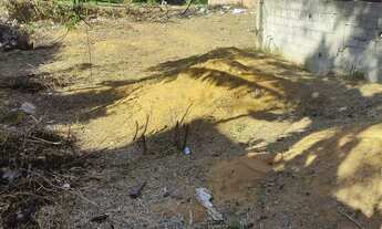 Imagem 6: Lote vista linda