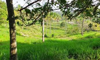 Imagem 3: Vendo Área (sitio) na Estrada da Cabrita - São Cristóvão-Se