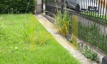 Imagem 3: Casa Térrea - Localização Privilegiada - Próximo da Padaria Leticia