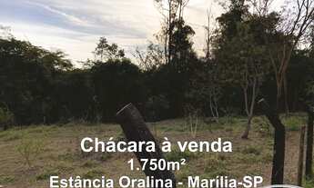 Imagem 2: VENDE-SE Chácara / Sítio NO PADRE NÓBREGA (CENTRO) - MARÍLIA/SP