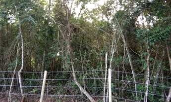 Imagem 4: Vendo lote plano 600mts Itatiaiuçu