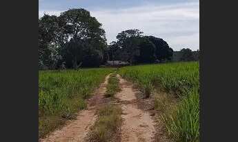 Imagem 2: SÍTIO 17 HECTARES FORMADO