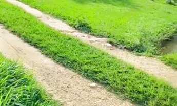 Imagem 3: Chácara para Venda em Abadiânia, Zona Rural, 3 dormitórios, 1 banheiro, 1 vaga