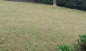 Imagem 6: Terreno Residencial à venda, Butantã, São Paulo - TE0070