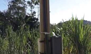 Imagem 4: Terreno para sítio