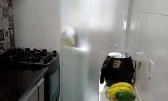 Imagem 6: Vendo Apartamento com 2 dormitórios