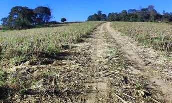 Imagem 4: Ag7- lotes rurais a 3km do asfalto