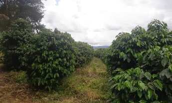 Imagem 5: Vendo terras próximo a Palmeiral contendo 3 hectares . Direto com proprietário