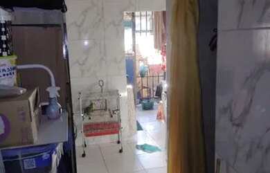 Imagem 4: Casa 3/4 3 banheiros em Castelo Branco c/laje coberta e livre perto da Nova Rodoviaria