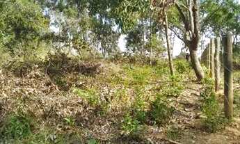 Imagem 7: Lote Caetanópolis 5000