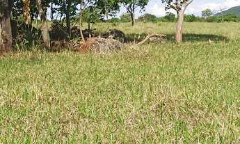 Imagem 6: Fazenda 113 alqueires plantando 50 alqueires em Ipora-GO