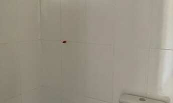 Imagem 3: ALUGO APARTAMENTO EM CAMPO GRANDE