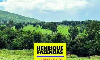 Imagem 3: Fazendas 114,7 alqueires a venda dupla aptidão região Serra da Lopa TO