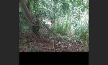 Imagem 3: Vendendo terreno