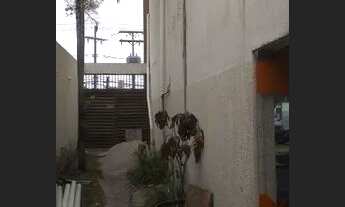 Imagem 3: LOJA COMERCIAL em LAURO DE FREITAS - BA, VILAS DO ATLÂNTICO