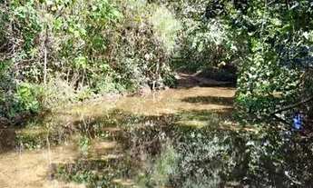Imagem 2: Fazenda Goiás área pra Reserva