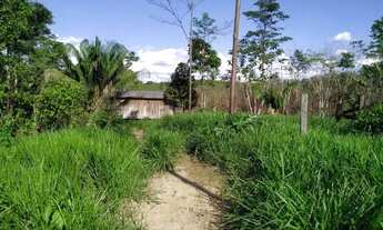 Imagem 4: Vendo uma ótima área de 250 hectares