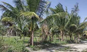 Imagem 7: Sítio para venda com 1.440m² localizado no Rancho Alegre em Arembepe Camacari