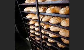 Imagem: Padaria Tradicional Regiao Butantã