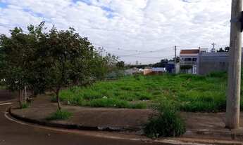 Imagem 2: Terreno próximo ao Cristo