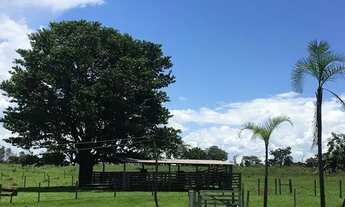 Imagem 2: Excelente sítio próximo Uberlândia