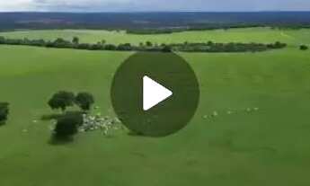 Imagem 6: Fazenda de arrendamento 1.100hec em Itiquira MT