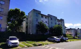 Imagem 2: /Alpinia - atrás da Bemol da Torquato