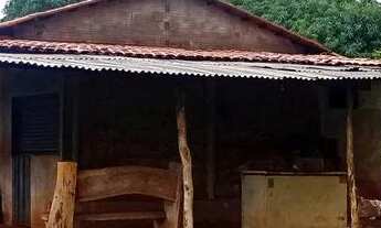 Imagem 2: Fazenda 7 alqueiros 100% formada