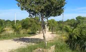 Imagem 3: Sítio Japaratuba - chacara interior - terreno