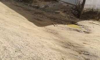 Imagem 3: Casa Casa com 2 dormitórios