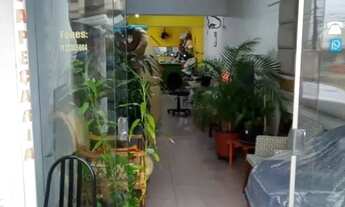 Imagem 4: LOJA - SUMARÉ - SP