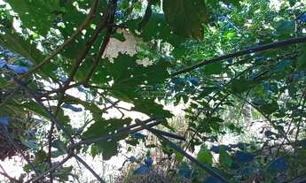 Imagem 5: Vende área próximo Anhanguera, Matão Sumaré,SP