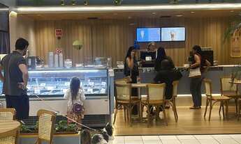 Imagem 6: Loja Havanna Galpão / depósito com 5 vagas na garagem