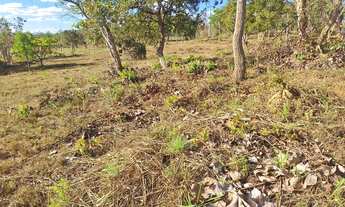 Imagem 7: OPORTUNIDADE ÚNICA. LEIA O ANÚNCIO