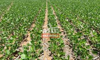 Imagem 2: Fazenda 58 alqueires (280,7 hectares) Itarumã -GO