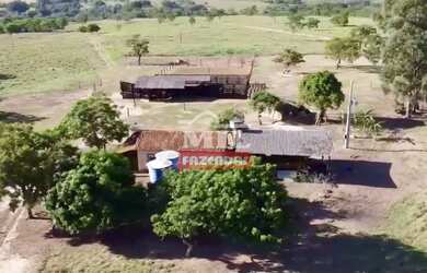 Imagem 7: Fazenda com 45 Alqueires (218 hectares) em Ipameri - Goiás