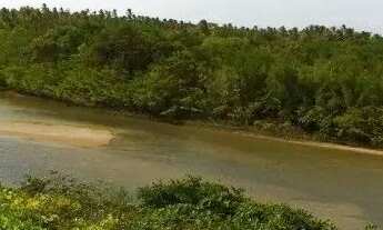 Imagem 7: ATINS/MA: VENDO BEIRA DO RIO