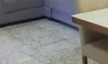 Imagem 2: APARTAMENTO - DONA CLARA - MG