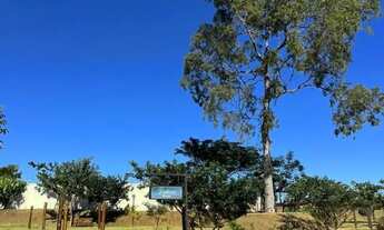 Imagem 6: Terreno em Cravinhos