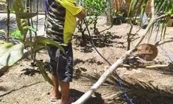 Imagem 4: Oportunidade!! No broma