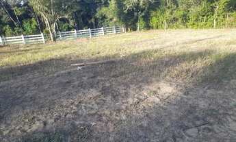 Imagem 3: Chácara em Mandirituba