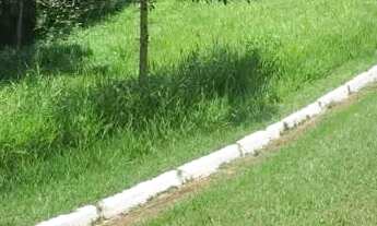 Imagem 3: AREA - JARDIM DOS PINHEIROS - SP