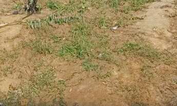 Imagem 3: TERRENO NO BAIRRO MIRAMAR