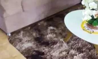 Imagem 7: 02 Casas Residenciais / CENTRO - Guarabira/PB