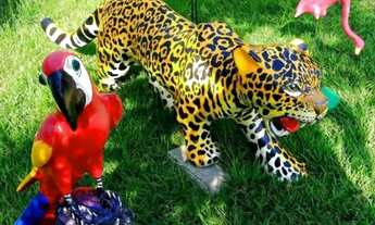 Imagem 5: CASA DE PRAIA COM PISCINA POR TEMPORADA EM ALTER DO CHÃO