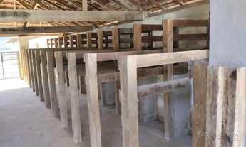 Imagem 4: Lindo sítio encantador para venda próximo a São Lourenço Mg