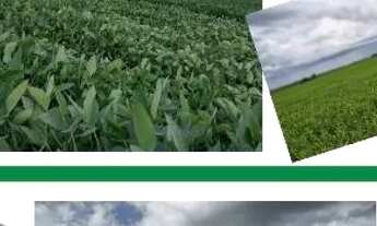 Imagem: Fazenda 8.446.28 hec a 84km de Cuiabá MT