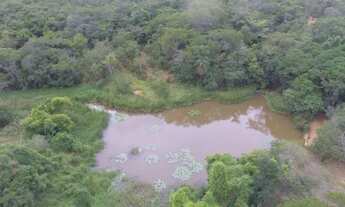 Imagem 3: Fazenda 21 ha, com casa, sede e duas casa de caseiro, lagoa, córregos nos fundos